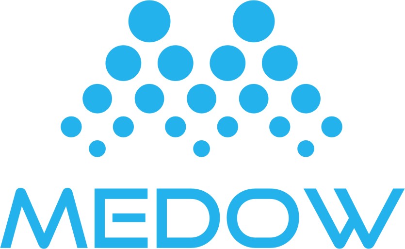 MEDOW SOLUTIONS PVT. LTD.