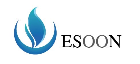 ESOON COPORATION LTD